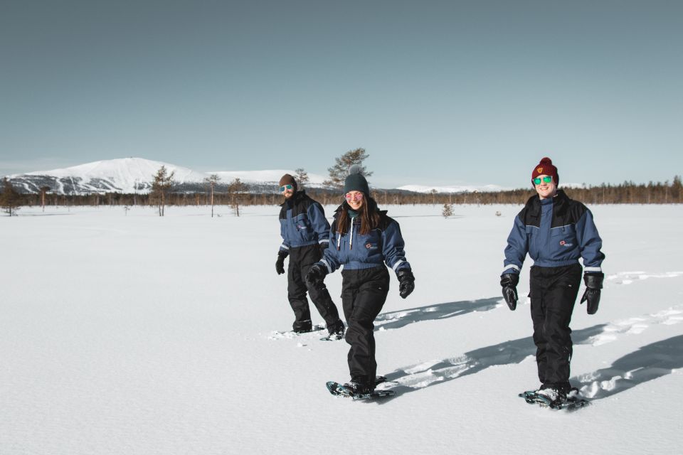 Levi: Scenic Levi Snowshoe Trip - Discovering Laplands Snow-Laden Forests