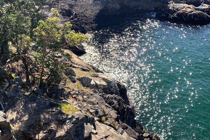 Lighthouse Park Hike - Packing Essentials