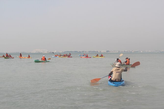 Mangrove Kayaking Purple Island Adventure - Accessibility