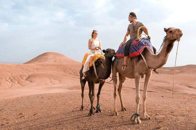 Marrakech Desert : Quad Biking, Camel Ride, Dinner Show - Reviews and Feedback