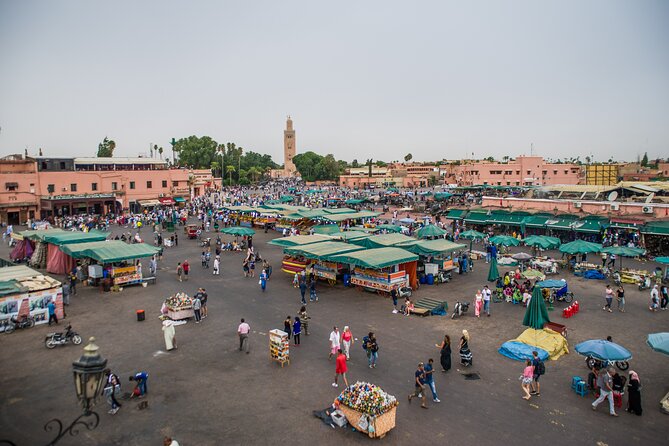 Marrakech Munchies: A Tasty Tour - Tour Logistics