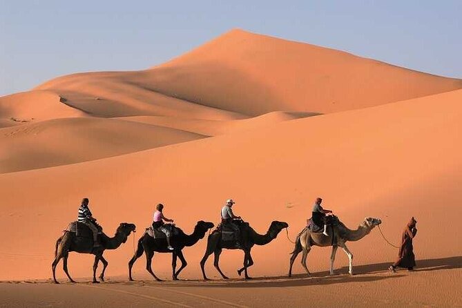 Marrakech to Merzouga 3 Days 2 Nights Sahara Desert Tour - Pickup and Transfers