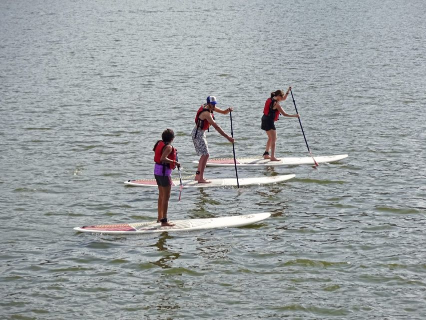 Miami: Biscayne Bay Kayak or Paddleboard Rental - Rental Options and Pricing