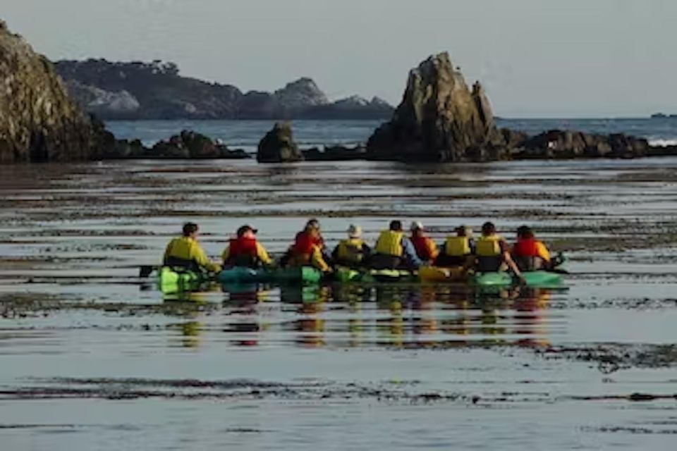 Monterey: Pebble Beach Kayak Tour - Meeting Point