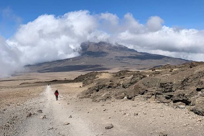 Mount Kilimanjaro - Lemosho Route - Pricing and Booking