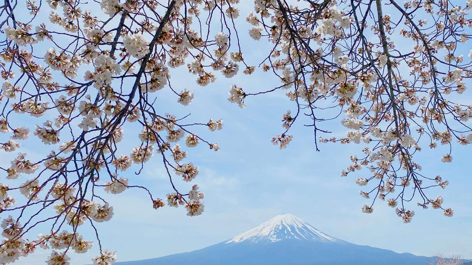 Mt Fuji: Full Day Private Tour From Tokyo by Luxury Vehicle - Additional Attractions and Activities