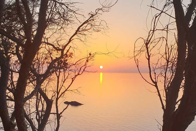 Naturalistic Excursion to Ustica - Confirmation and Cancellation