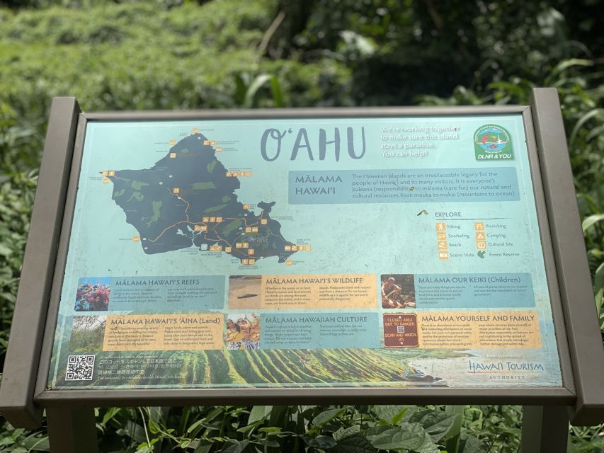 Oahu: Mānoa Falls Trail Hiking Shuttle - Scenic Highlights