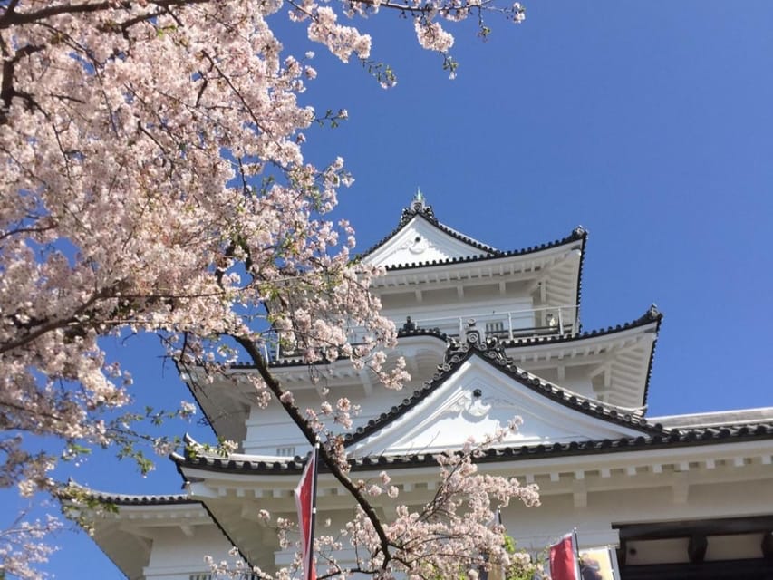 Odawara: Zazen Meditation and Tea Ceremony Review - Delectable Lunch Experience