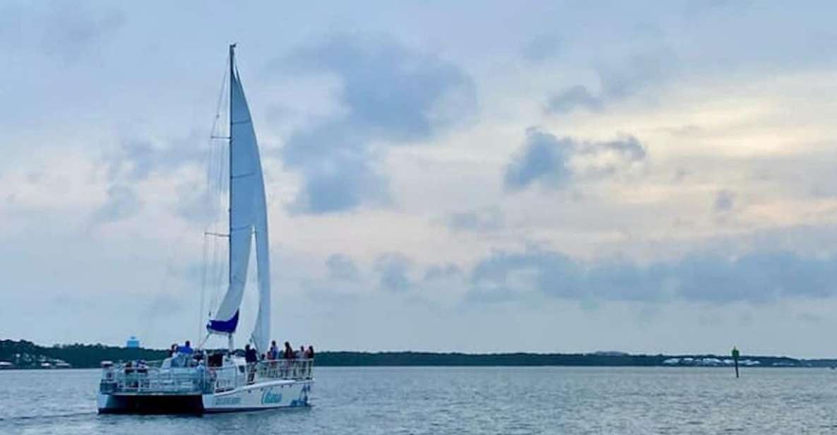 Orange Beach: Sun and Sailing Cruise Aboard Catamaran - Wildlife and Sightings