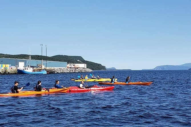 Paddle the Bay of Islands: 2 Hours Guided Kayak Experience - Additional Important Information