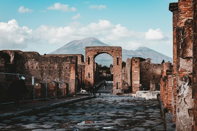 Pompeii Ruins Skip the Line Entrance Tickets With Guided Tour - Accessibility