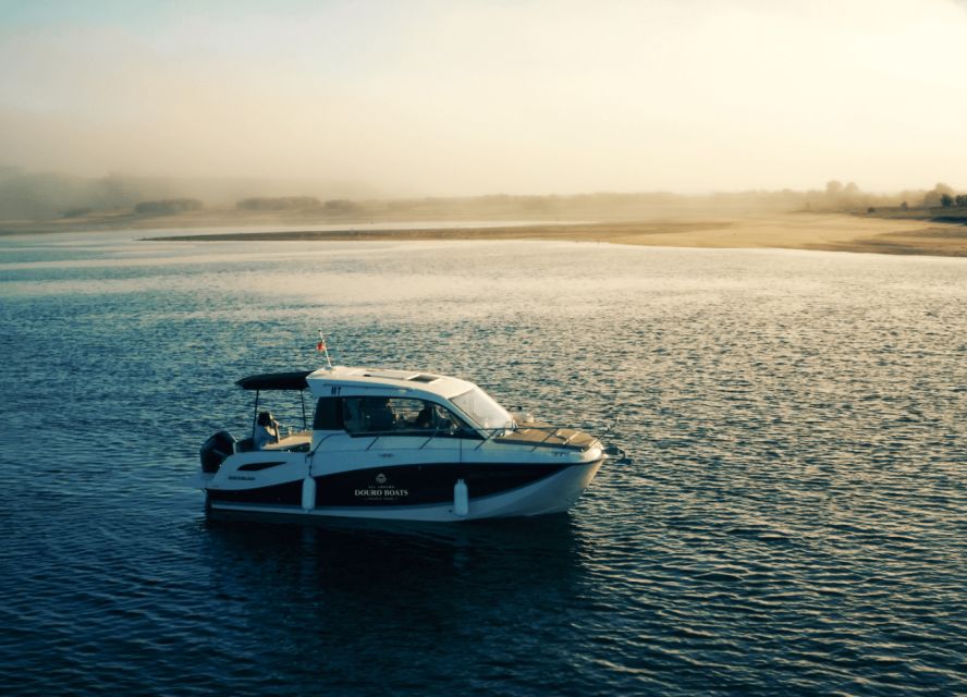 Porto: Private Boat Tour in Douro River - Inclusions and Exclusions