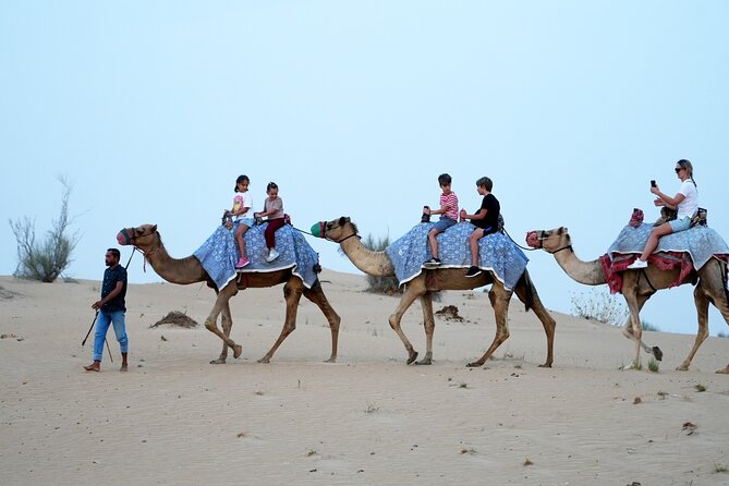 Premium Deluxe Dubai Safari With Camel Ride, Sandboard & BBQ - Captivating Live Entertainment Highlights