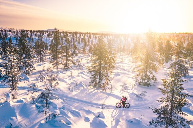 Private Electric Fat Bike Tour in Saariselkä - Booking and Confirmation