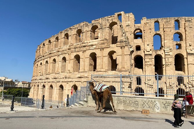 Private Half Day Tour Roman Coliseum EL JEM - Coffee and Lunch