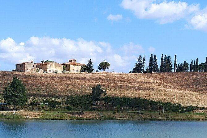 PRIVATE Tour: Chianti Afternoon TOUR With Visit to 2 Wine Farms - Traveler Experience and Reviews