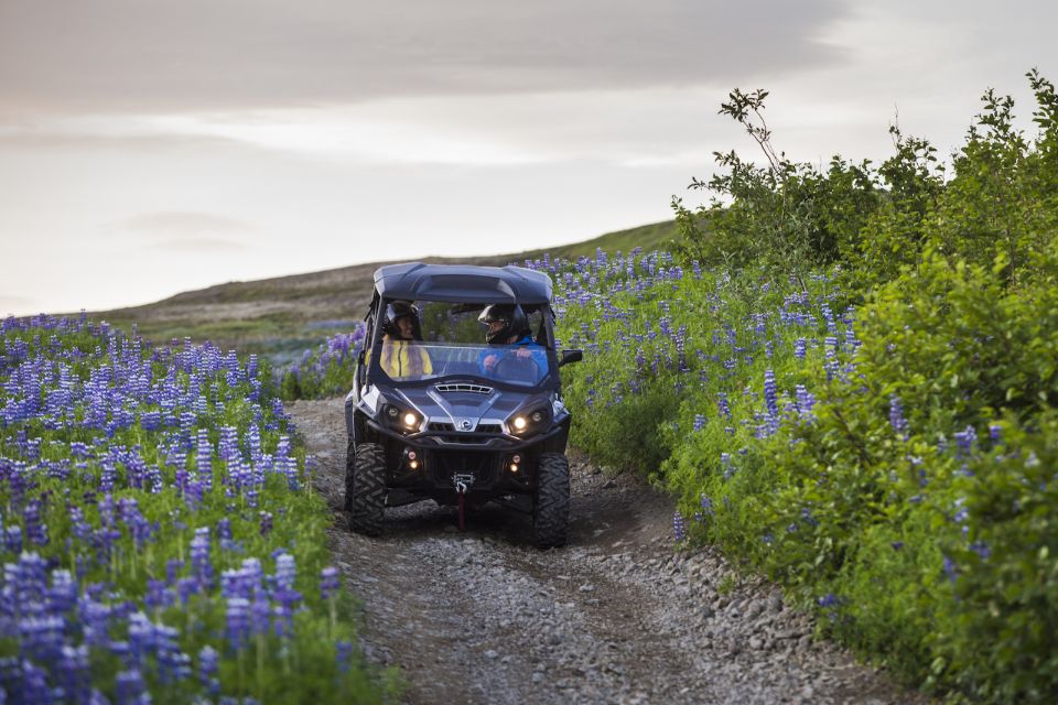 Reykjavik: Buggy Safari Tour With Hotel Transfers - Safety Features and Specifications