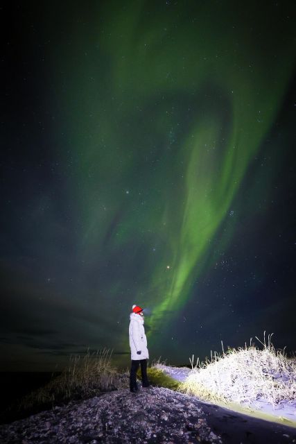 Reykjavik: Northern Lights Hunting and Professional Photos - Booking and Cancellation