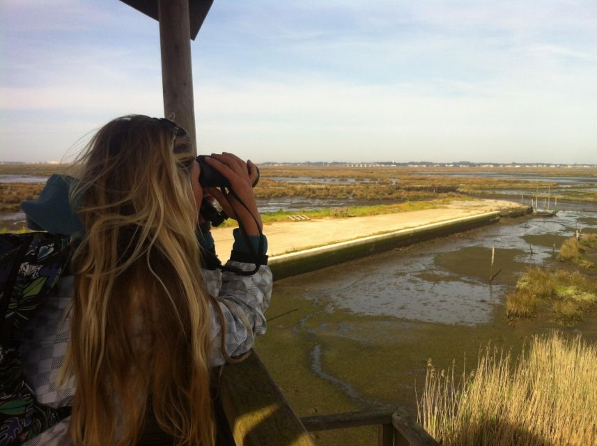 Ria De Aveiro: Birdwatching Tour (Full Day) - Customized Experiences