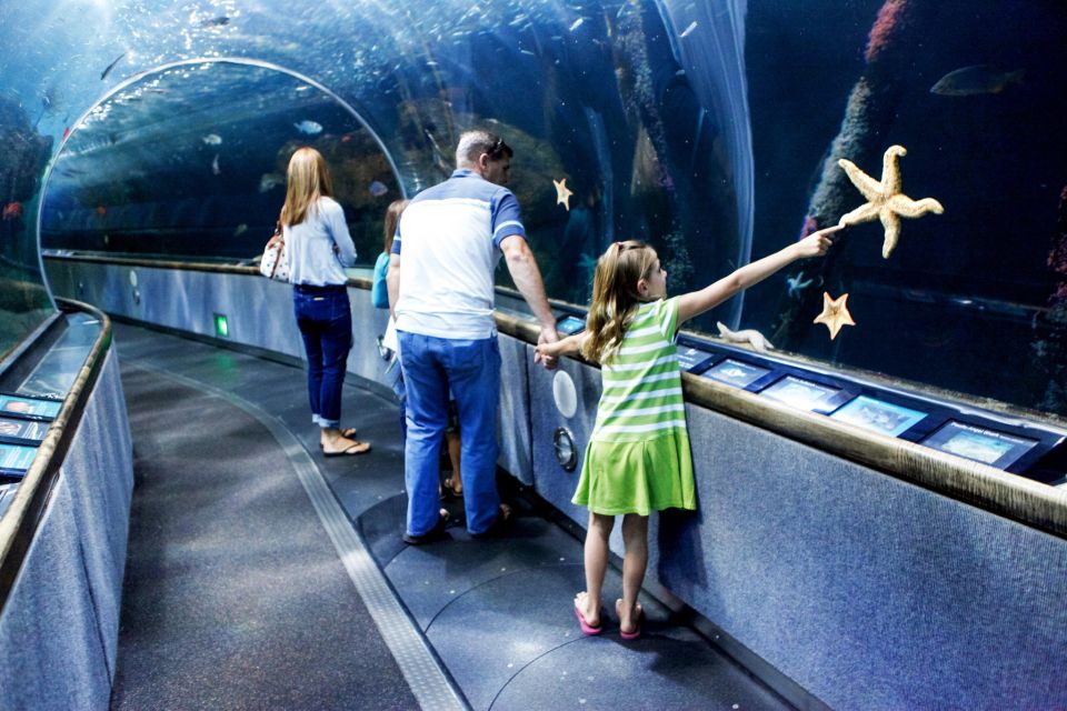 San Francisco: Aquarium of the Bay General Admission Ticket - Customer Reviews