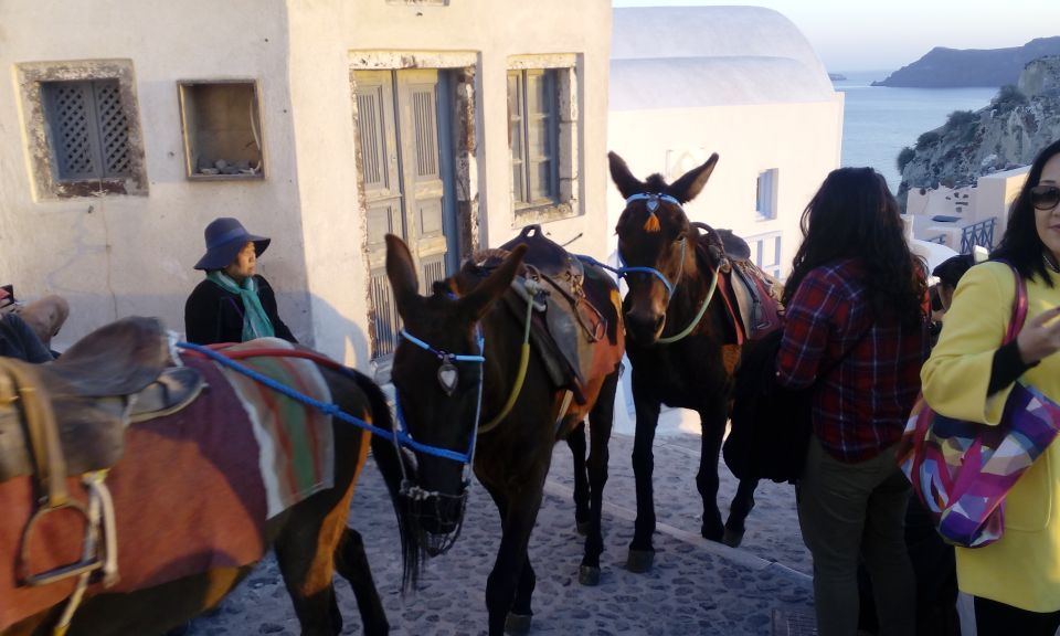 Santorini: Small-Group Highlights Tour of Venetian Castles - Megalochori