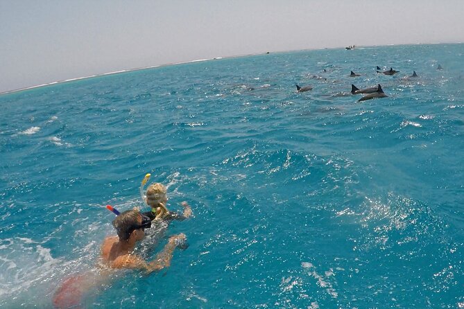 Sataya Dolphin House Snorkel Trip - Marsa Alam - Refreshments and Lunch Included