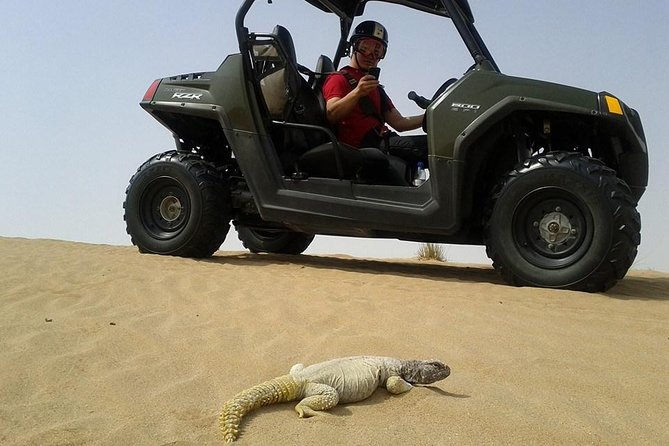 Self-Drive Desert Buggy or Quad Bike Experience With Transport From Dubai - Choosing Between Buggies and Quads