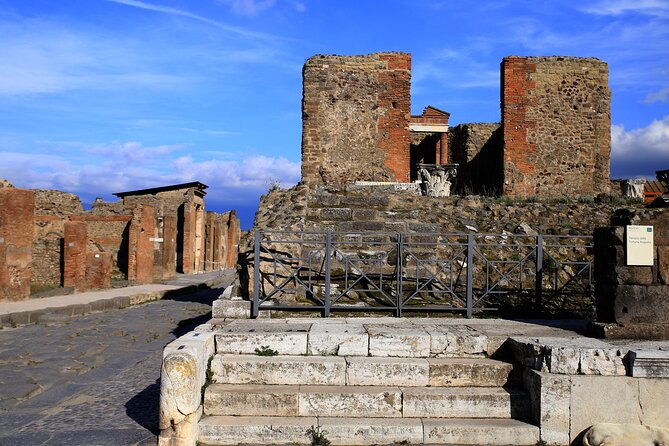 Skip the Line Pompeii Tour for Kids and Families W Special Guide - Kid-friendly Commentary and Activities