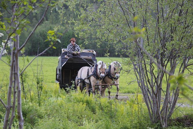 Sleigh Ride W/ Snacks - Experience Arctic Farm Life - Visiting the Local Arctic Farm