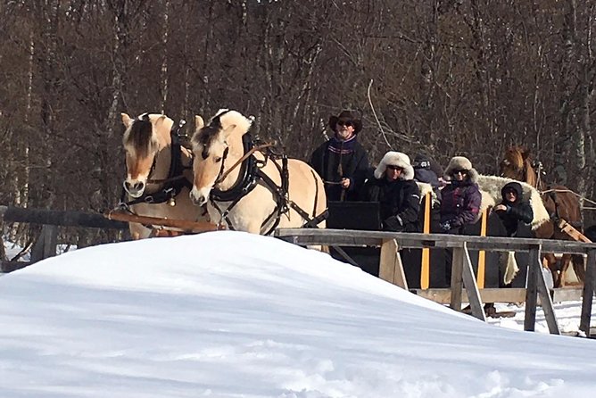 Sleigh Ride W/ Tapas Meal - Experience Arctic Farm Life - Warm Snow Gear Provided