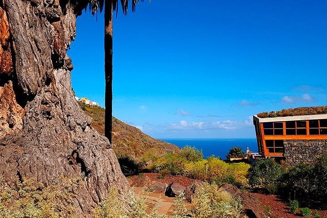 Tenerife Highlights Full-Day Tour - Masca: Picturesque Mountain Hamlet