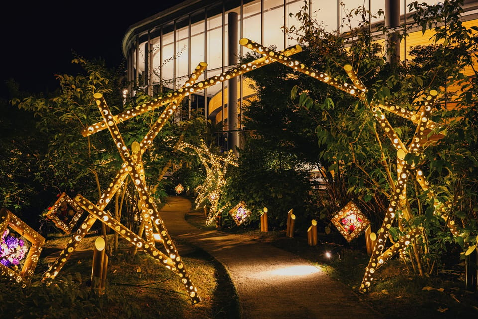 The Princess Kaguyas Glowing Garden in Sakuramachi Kumamoto - Exhibition Concept