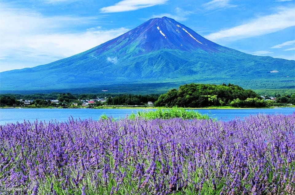 Tokyo: Mt. Fuji, Oshino Hakkai, Kawaguchi Lake 1-Day Trip - Key Stops and Duration