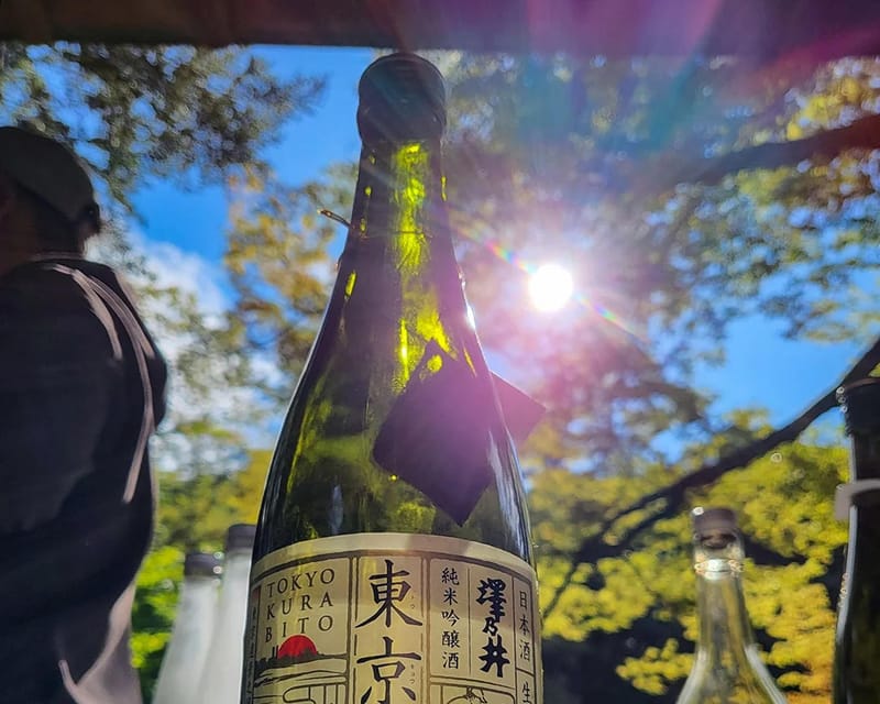 Tokyo: Sommelier Sake Tasting in Okutama Review - Food Pairings and Flavors