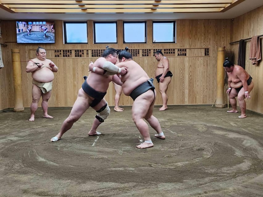 Tokyo Sumo Morning Practice Tour With Private Car Transfer - Important Participant Information