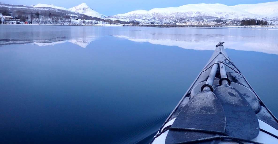 Tromsø: Winter Sea Kayaking Tour With Wildlife Sightings - Breathtaking Natural Scenery