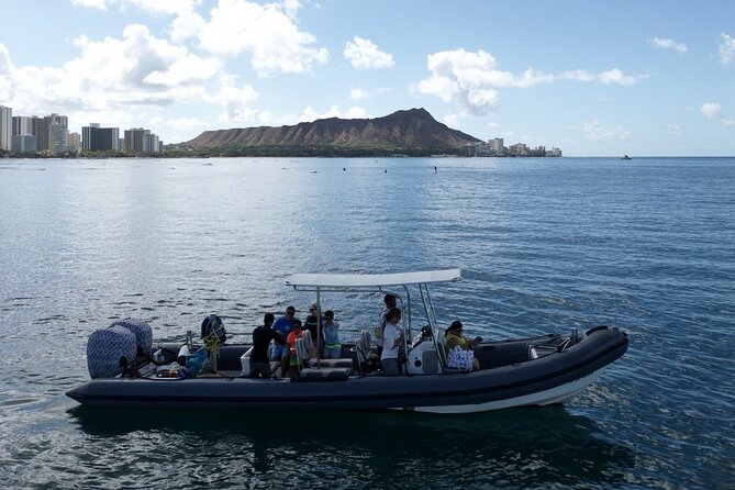 Turtle Canyon Snorkel (Semi Private Boat Tours) - Accessibility and Transportation