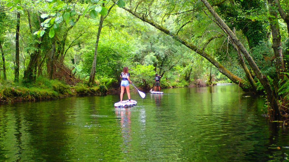 Viana Do Castelo: Vez River SUP With Transfer Options - Meeting Point