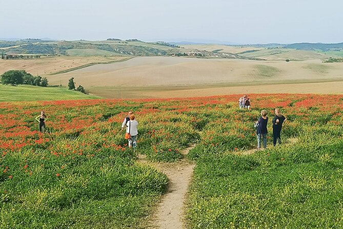 VIP Wine Experience Montalcino & Montepulciano With Lunch - Cancellation Policy