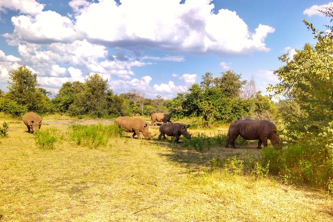 White Rhino Walk in the Mosi Oa Tunya - Snacks and Pickup