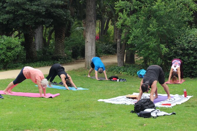 Yoga at María Luisa Park in Seville - Participant Testimonials