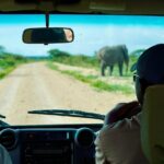 5 Day Mid Range Safari In Tanzania Why Choose This Safari