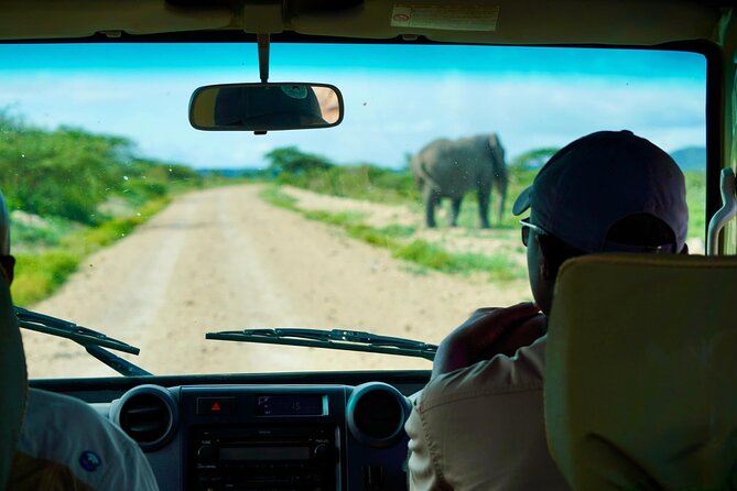 5-Day Mid-Range Safari in Tanzania - Why Choose This Safari