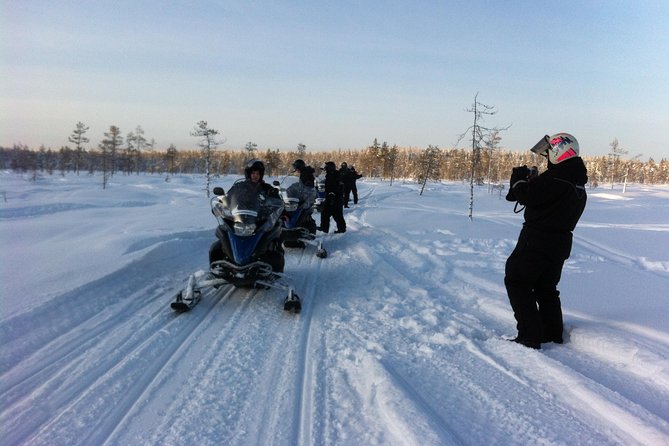 1-Hour Snowmobile Safari Experience - Snowmobile Safari Highlights