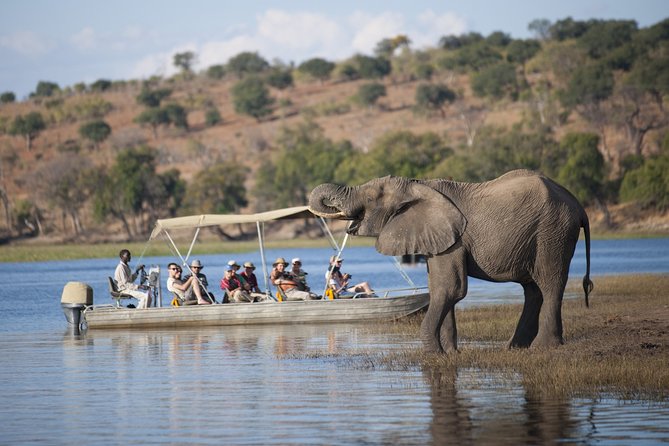 2 Day 1 Night Chobe Safari Ex Livingstone/Victoria Falls - Reviews and Feedback