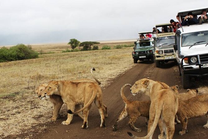 3 Days Luxury Safari Tour in Tanzania - Safari Activities