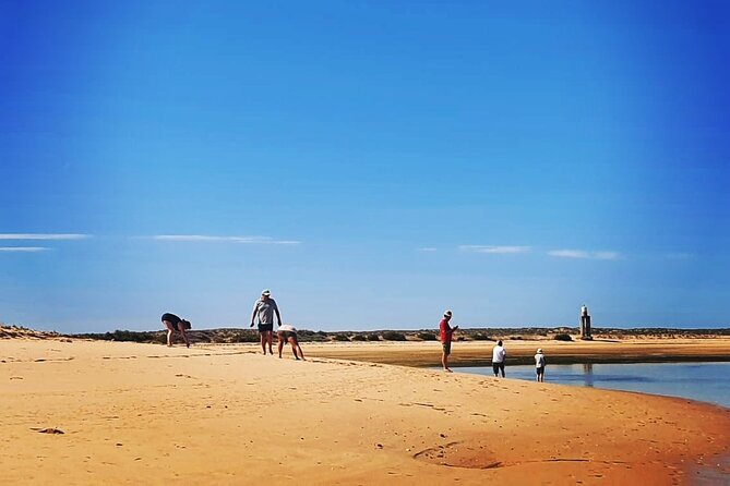 3 Hour Boat Tour in Ria Formosa - Accessibility Information