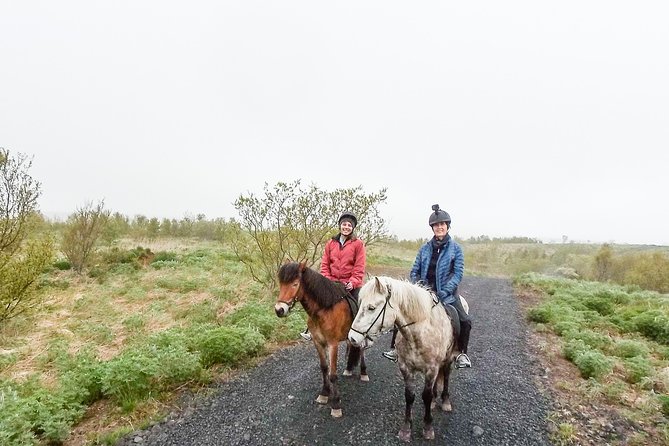 3 Hour Private Horse Riding Tour in Mosfellsdalur - Participant Requirements