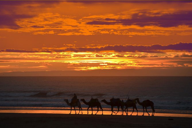 3 Hours Ride on Camel at Sunset - Preparing for the Tour